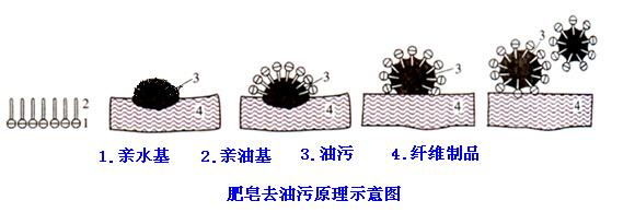 肥皂、洗衣粉和洗衣液三者有哪些區(qū)別？